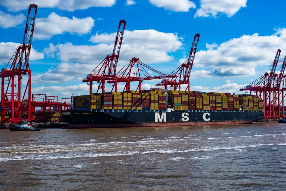 Port Bulk Terminal Design: Efficiency & Throughput Optimization