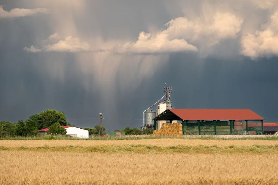 Rice Grain Storage Silo Guide